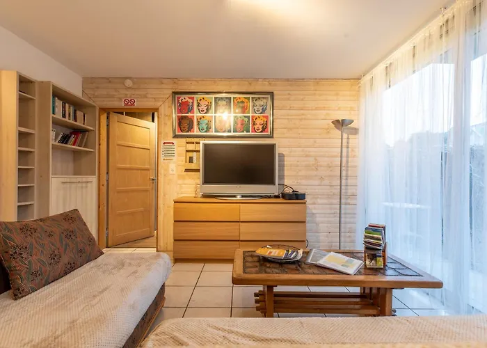 Avec Jardin, Ideal Pour Animaux - Floreal דירה קלרמונט-פרנד